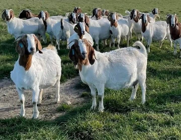 save 20250913 135838